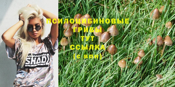 MDMA Беломорск