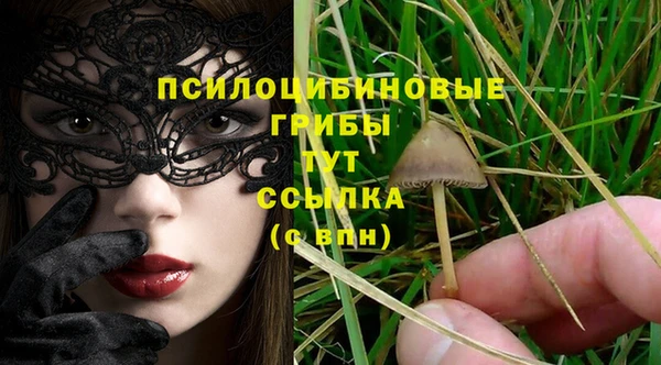 spice Бронницы