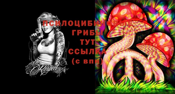 MDMA Беломорск